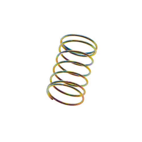 Technology AAP01 Nozzle Valve Spring