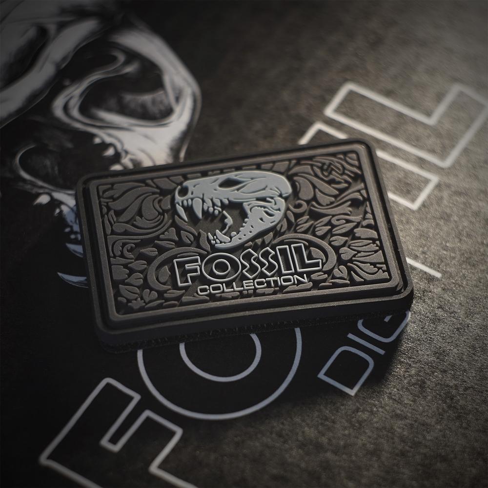 MTW Fossil Collection: Dig 1