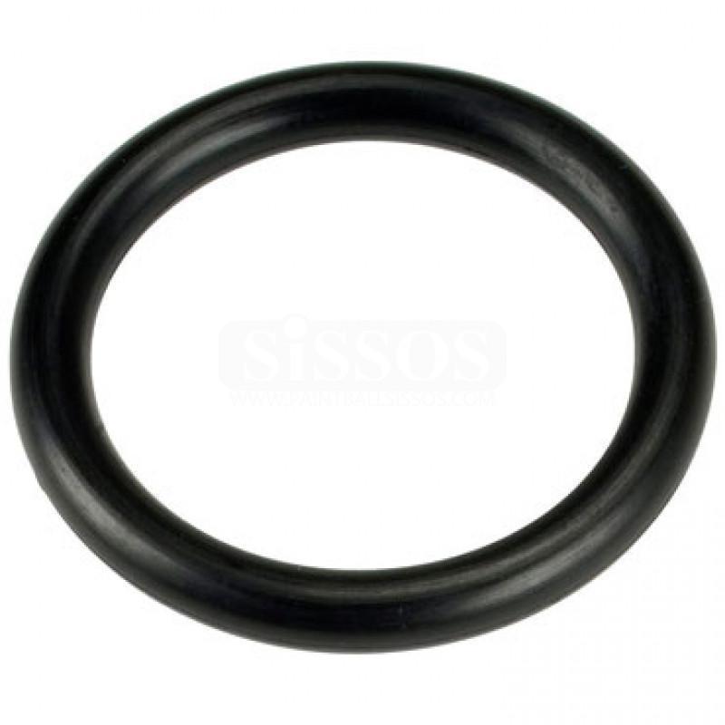 / CO2 cylinder o-ring